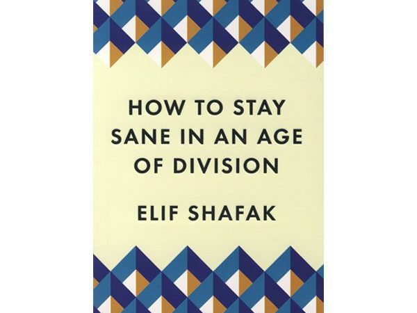 کتاب رمان How to Stay Sane in an Age of Division