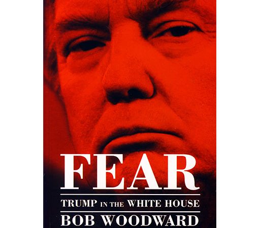 کتاب رمان FEAR TRUMP IN THE WHITE HOUSE